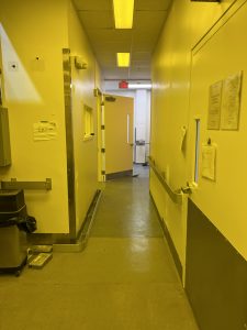 21FA40F8-8D54-46B1-969C-C0F5A8EB283E